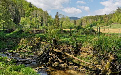 Idyllische Bacherlweg Wanderung
