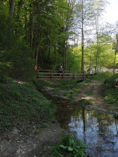 Nordic Walken, Wandern, Joggen am Bacherlweg