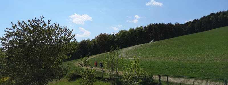 Ausblick vom Wiesenhof in die Natur