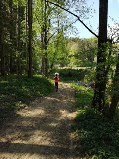 Walken, Wandern, Joggen in der Natur