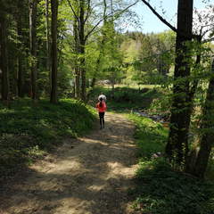 Walken, Wandern, Joggen in der Natur