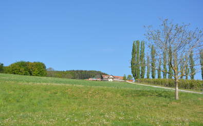 Der Wiesenhof auf einem Sonnenhügel im Hartbergerland