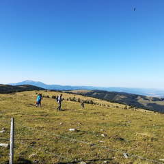 Alm Wanderung auf dem Hochwechsel