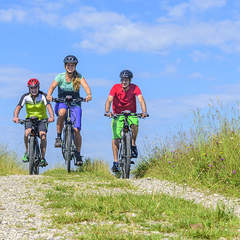 Radfahren und E-Biken in der Natur (c) Adobe Stock