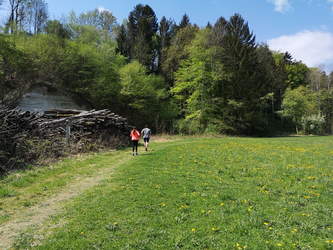 Nordic Walken, Wandern, Joggen am Bacherlweg
