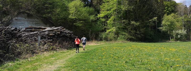 Nordic Walken, Wandern, Joggen am Bacherlweg