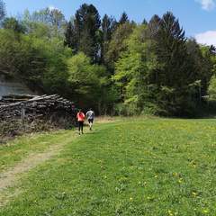 Idyllische Wege und die Auszeit genießen