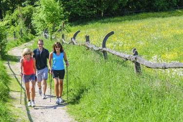 Wandern im Sommer in der Oststeiermark (c) Fotolia