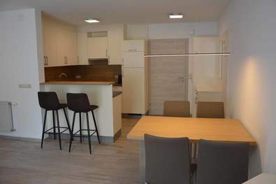 Küche im Appartement im Wiesenhof