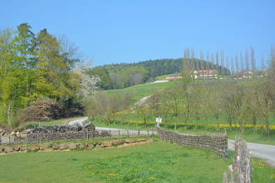 Blick vom Schloß Kirchberg zum Wiesenhof***